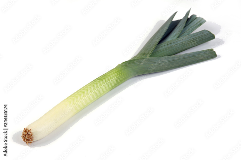 Lauch Lauch