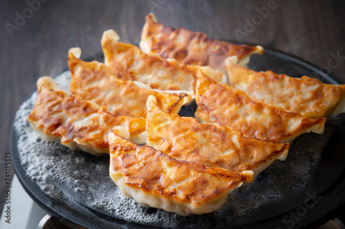 Obraz na płótnie 餃子