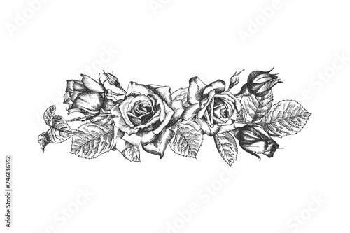 Floral frame. Hand drawn sketch of roses, leaves and branches Detailed vintage botanical illuatration.