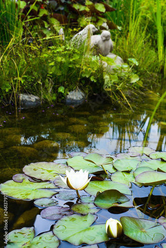 Garden pond with water lilies and ceramic sculpture