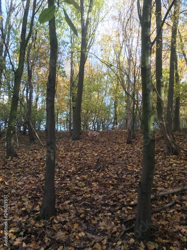 Diverse Landschaften 