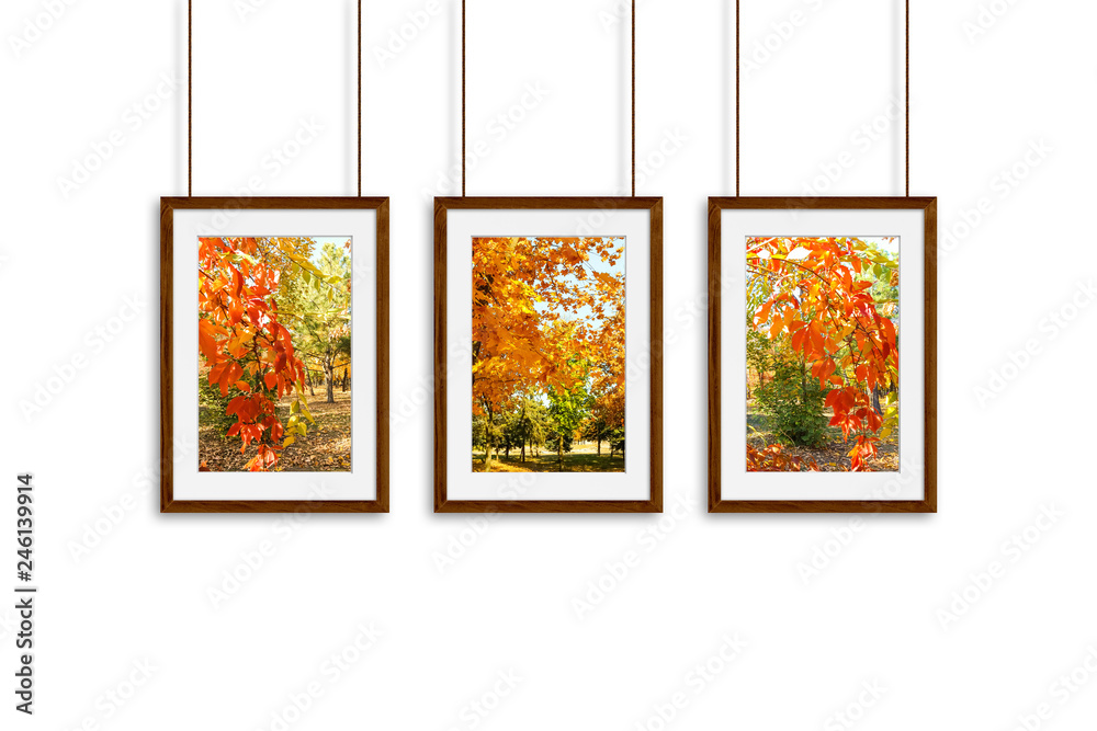 Fototapeta premium Photo frames with colorful autumn pictures hanging on cords. Interior decor mock up, 3d illustration