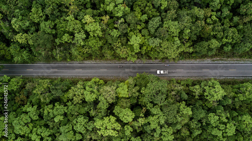 Road through the green forest, aerial view road going through forest.