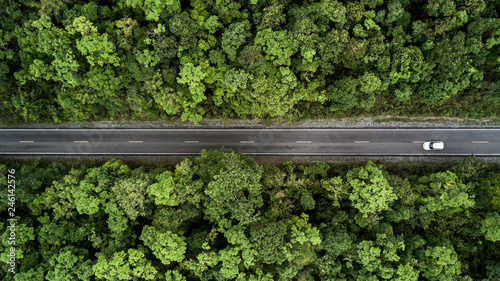 Road through the green jungle forest, Aerial view street asphalt road going through forest, Adventure and travel ecosystem and ecology healthy environment concept and background. 