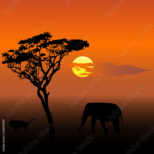 Elephant and lion at sunset vector