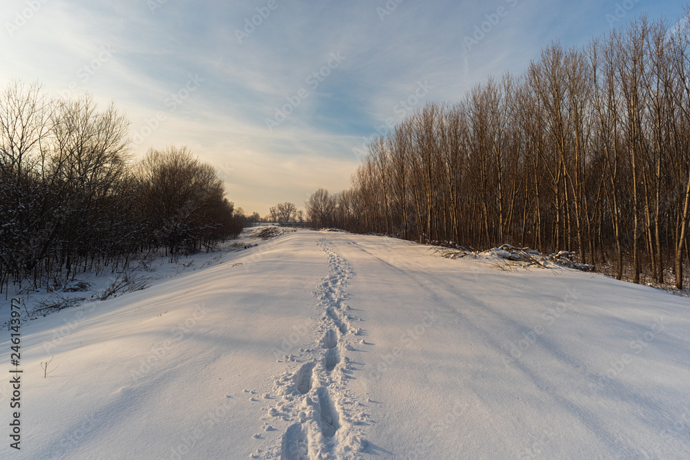 Path in the snow showing footsteps in winter time in sunset, low temperature, in the forest Path in the snow showing footsteps in winter time in sunset, low temperature, in the forest