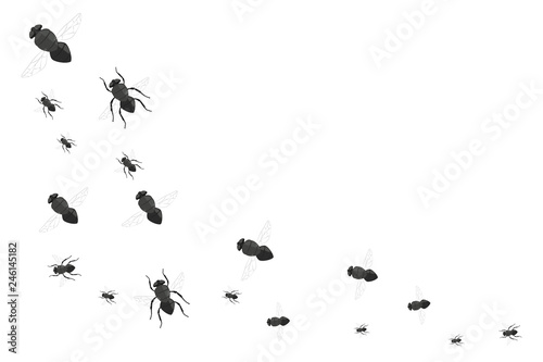 Flock of flies isolated on white background.