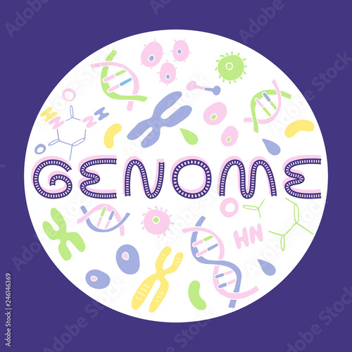 dna somil