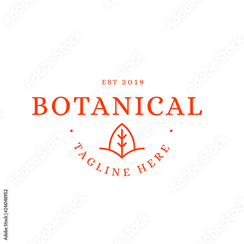 Botanical, Leaf, Natural logo icon design template elements - Vector 