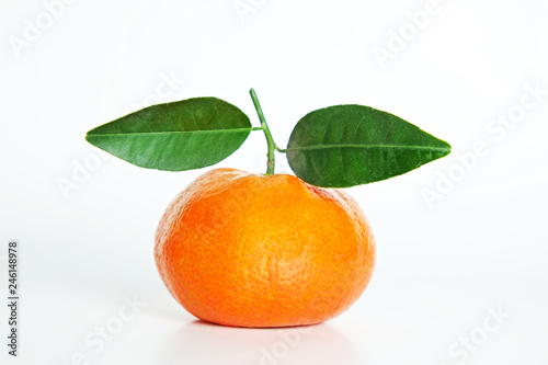 Close up image of one juicy organic whole tangerine with green leaves & visible zest texture, isolated white background, copy space. Macro shot of single bright citrus fruit. Top view, flat lay.