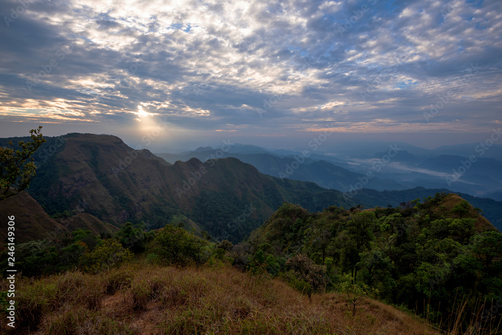 Fototapeta premium fog and cloud mountain valley landscape on sunrise