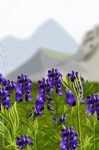 Lavender field Vector illustration. Mountains hills on backgrounds