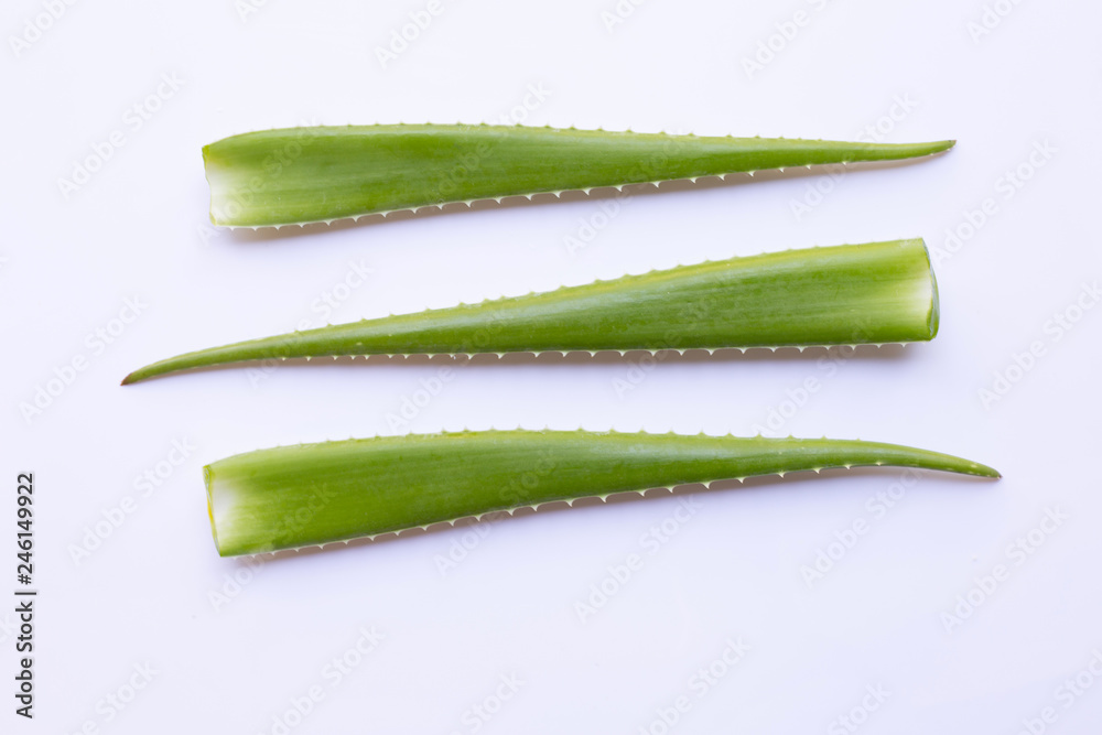 Aloe vera fresh leaves on white