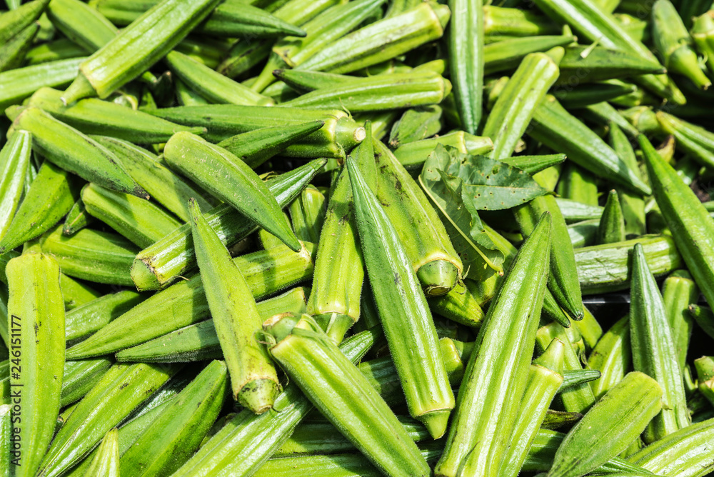Peppers in Brooklyn in New York City, USA Peppers in Brooklyn in New York City, USA