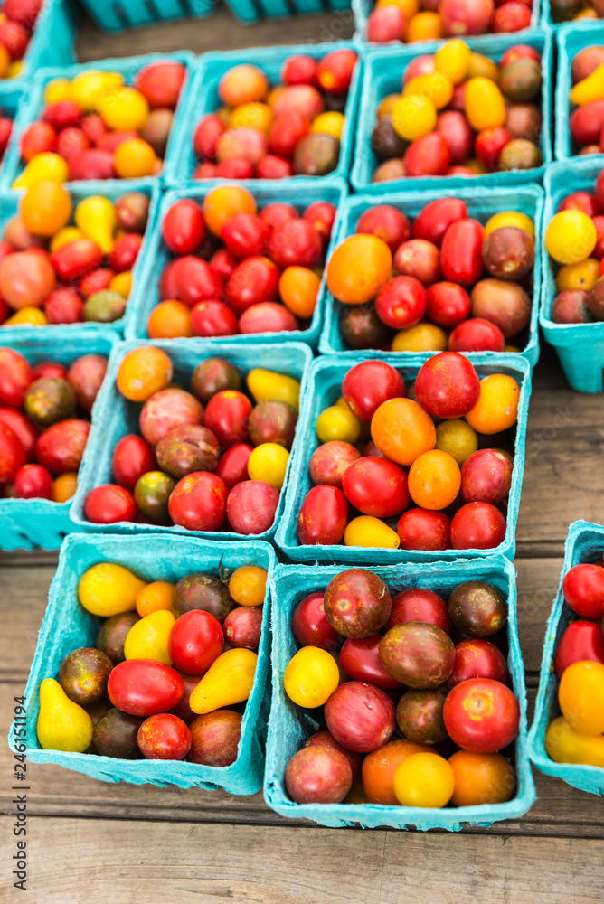 Tomatoes in Brooklyn in New York City, USA Tomatoes in Brooklyn in New York City, USA