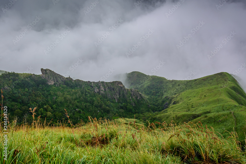 Munnar (also known as tea capital of India) during Monsoon in Kerala, India Stock Photo Adobe