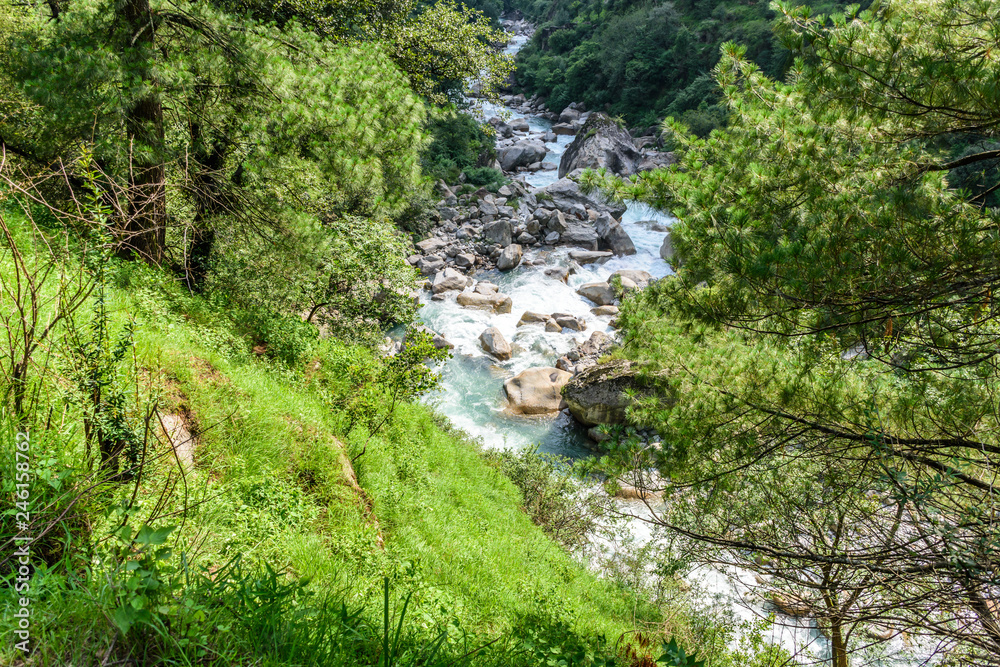 The lush green Tirthan valley & turquoise water flowing through the Great Himalayan National Park.