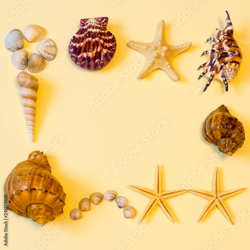 Summer composition. Frame made of different sea shells and sea stars lying on light yellow paper background symbolizing the sand. Flat lay, copy space, top view. Summer vacation concept