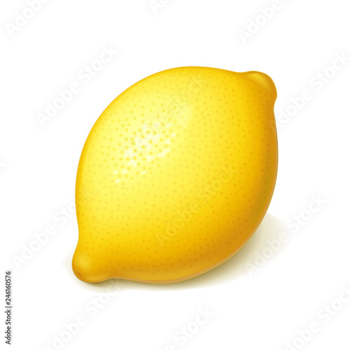 Ripe, juicy lemon. Realistic tropical fruit. Natural citrus.