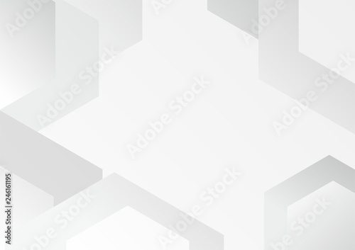 Abstract white and grey background vector