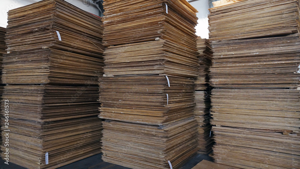 Shop for the production of plywood. Processing of business wood. Woodworking industry. Shop for the production of plywood. Processing of business wood. Woodworking industry.