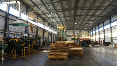 Shop for the production of plywood. Processing of business wood. Woodworking industry.