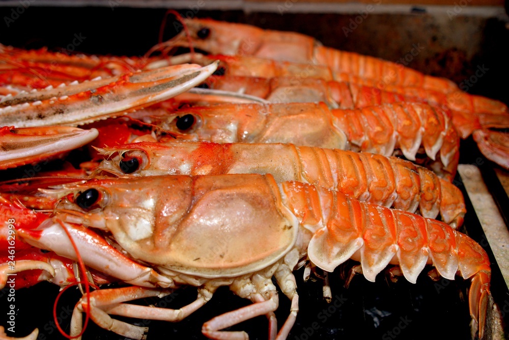 Shrimp. Spanish food to paella Shrimp. Spanish food to paella