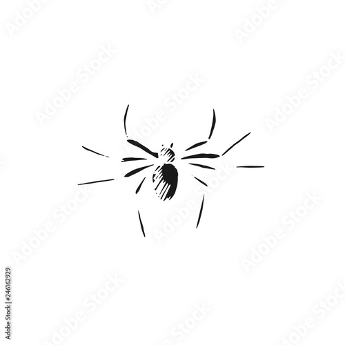 spider vector doodle sketch isolated on white background