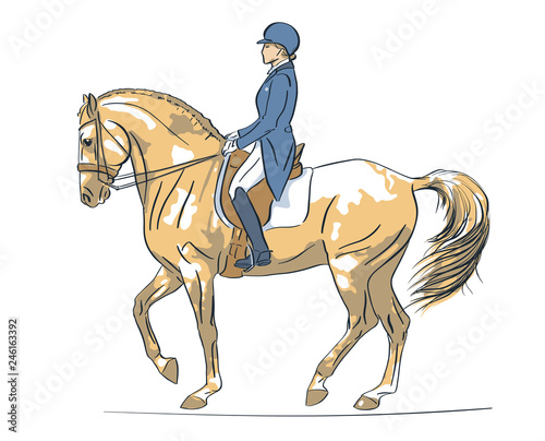 Sketch of a rider and horse execute the piaffe. Equestrian sport, dressage.
