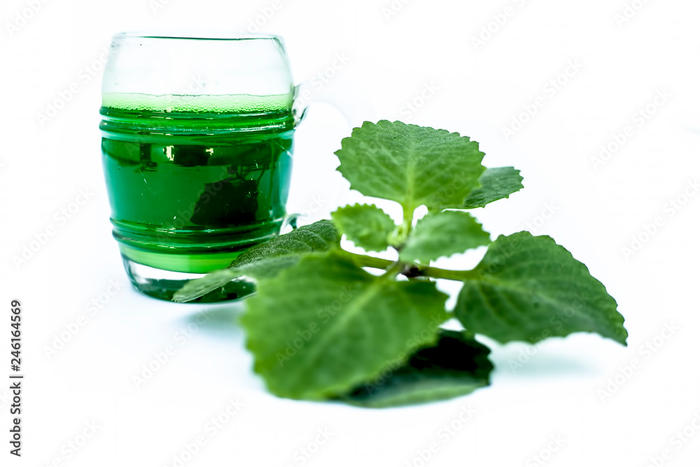 Close up of herbal organic fresh extracted Ajwain juice or Bishop's weed juice isolated on white in a transparent glass with raw ajwain or ajowan. Drinking juice helps to reduce weight and detoxify. Close up of herbal organic fresh extracted Ajwain juice or Bishop's weed juice isolated on white in a transparent glass with raw ajwain or ajowan. Drinking juice helps to reduce weight and detoxify.