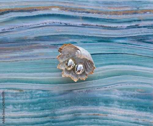 Fototapeta Naklejka Na Ścianę i Meble -  decorative seashell with pearls on the sea background