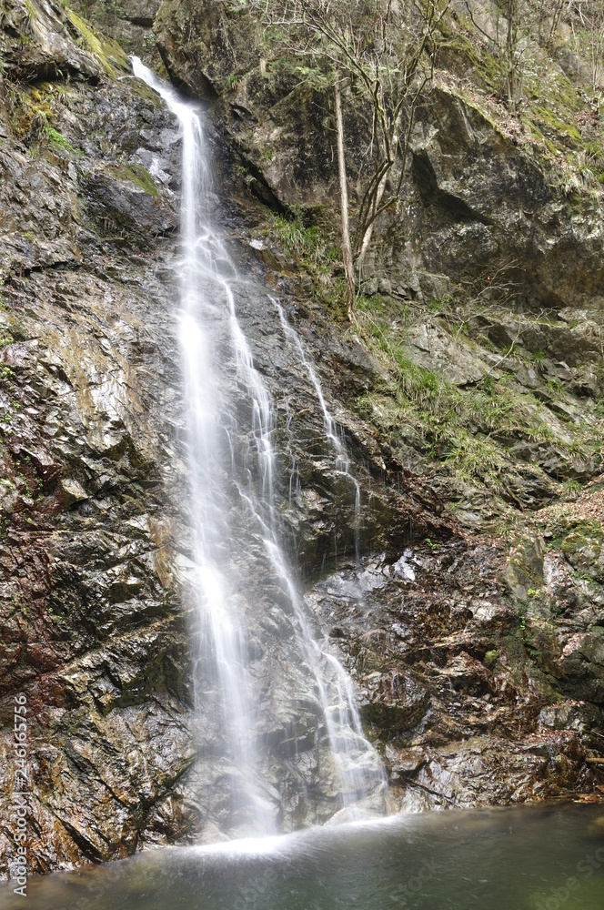 Fototapeta premium 日本の滝百選 払沢の滝