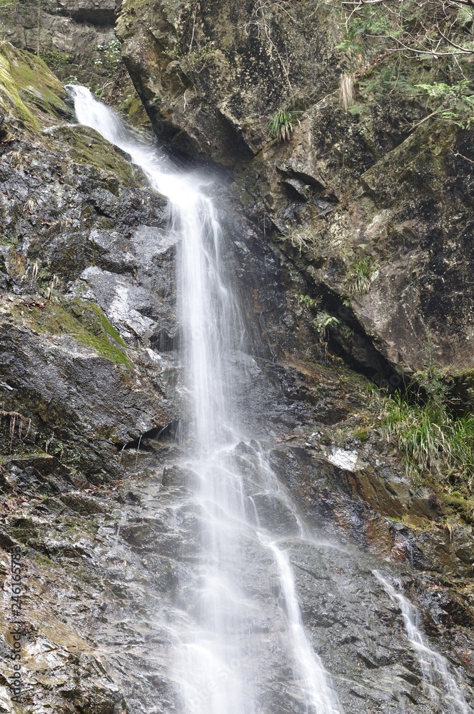 Fototapeta premium 日本の滝百選 払沢の滝