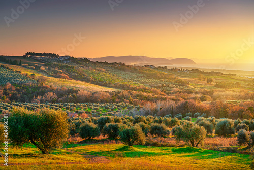 Maremma sunset panorama. Countryside, sea and Elba on horizon. San Vincenzo, Tuscany, Italy. photo