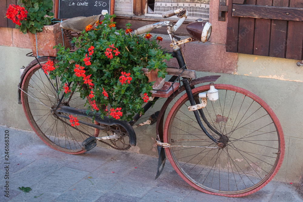 Old bicycle decorated with flowers in Ribeauville, France.
