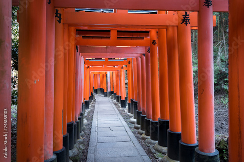 Torii Gates(The Gateway to a sacred space) in Fushimi Inari Shrine (Fushimi Inari Taisha)at Kyoto Japan