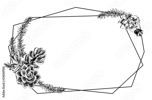 Geometric frame with succulents, hand-drawn with mascara and feather, botanical illustration. Wedding Card Invitation