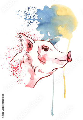 Cute pig in watercolour spots. Watercolor Symbol zodiac sign.