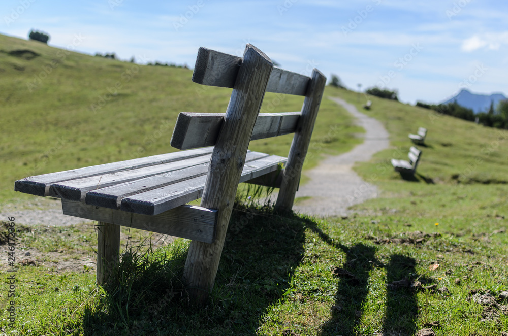 Sunlit wooden bench on a hiking path Sunlit wooden bench on a hiking path