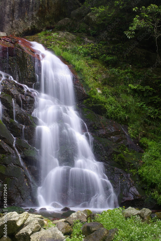 Obraz premium 滝（waterfall）