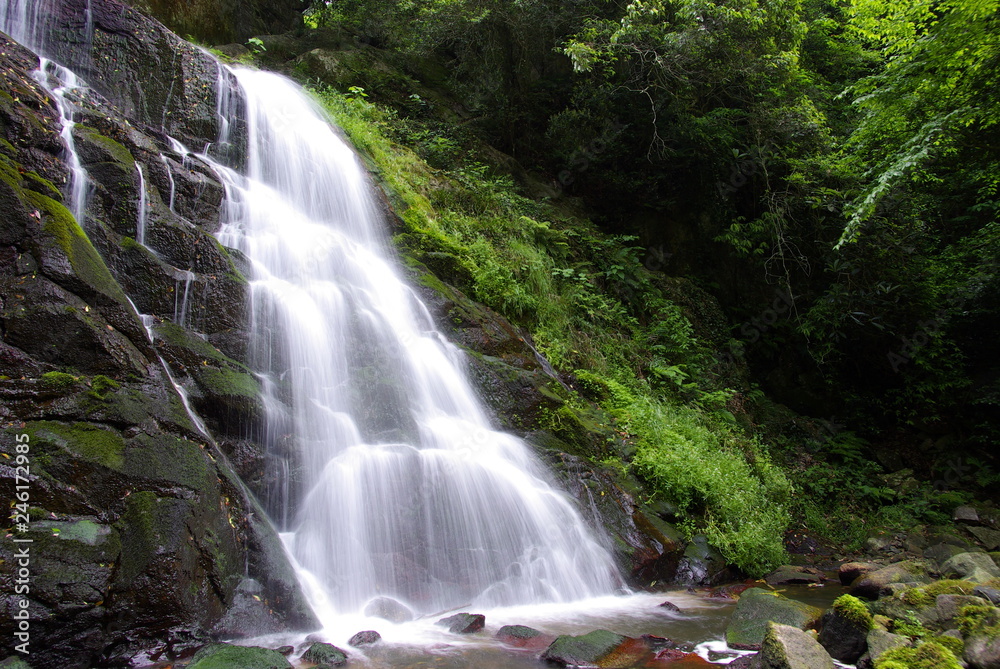 Fototapeta premium 滝（waterfall）