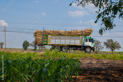 Sugar cane trucks in Thailand 