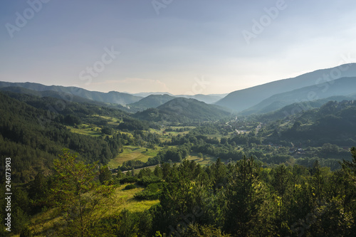 Beautiful view over the green valley. Tara national park in Serbia.