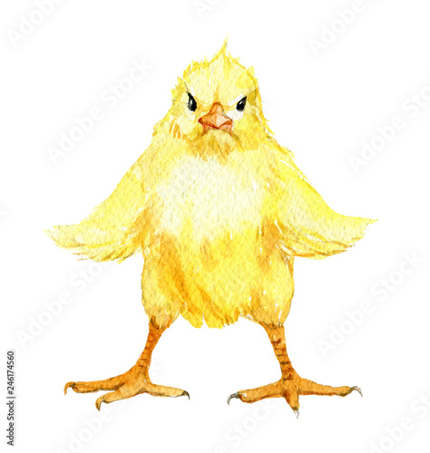 Photo Cute chick with spread wings isolated on white background, watercolor illustrati