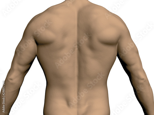 Back of a man
