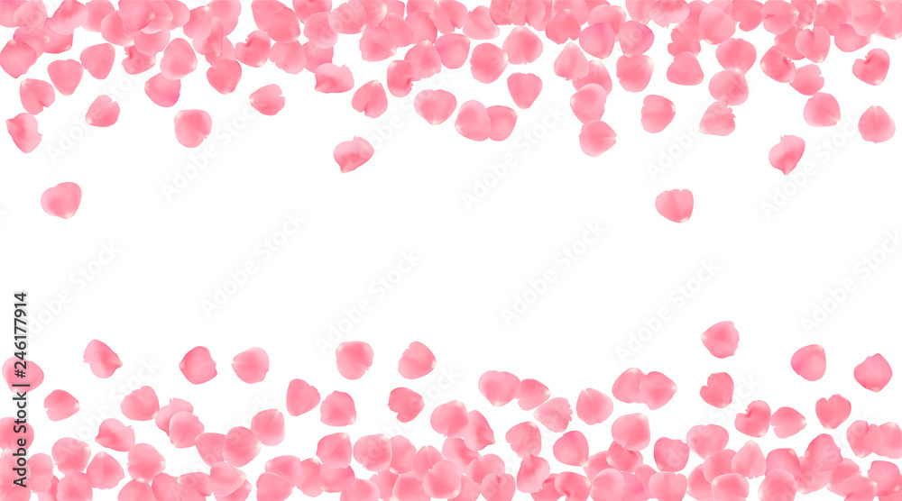 Background with realistic pink rose petals isolated on white background.