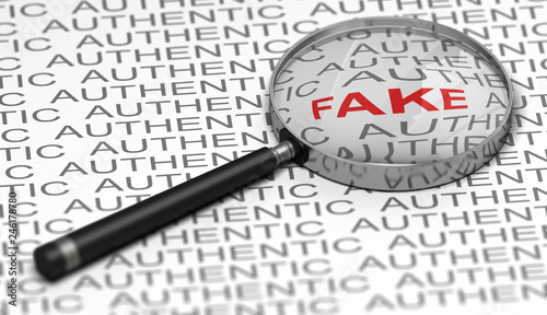 Document Verification, Searching for fraudulent Informations