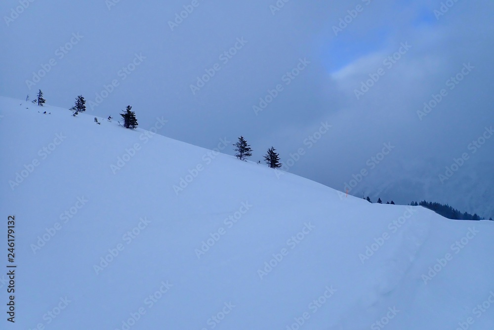 Verschneiter Hang mit Nadelbäumen auf der Mittelebene des Fellhorns in Oberstdorf