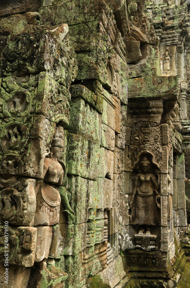 Bas relief on Ta Prohm temple, Angkor, Cambodia