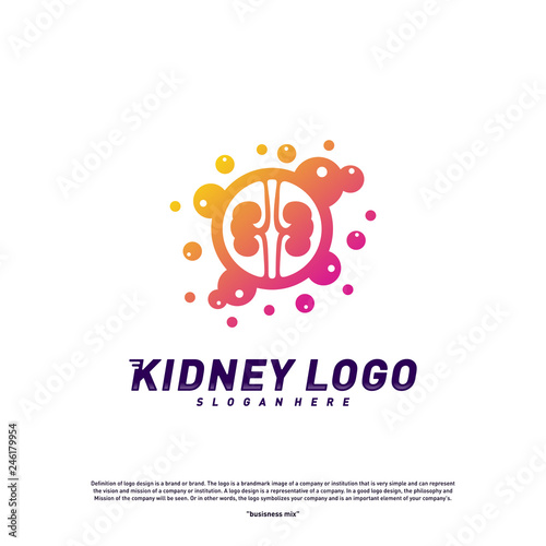 Colorful Kidney Logo Design Concept. Urology Logo Vector Template